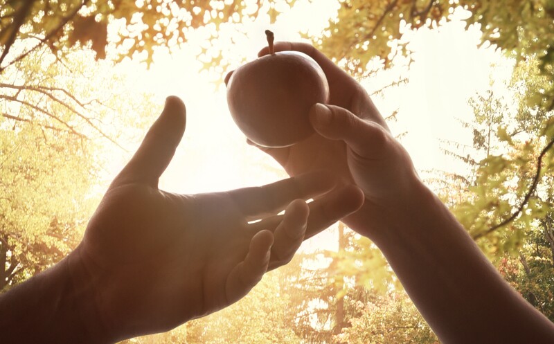 A,Woman's,Hand,Is,Holding,The,Forbidden,Fruit,Of,An