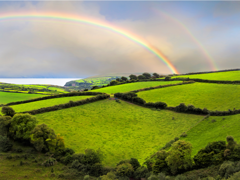 Screenshot (811).png