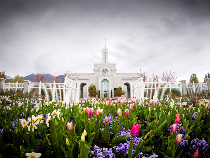 The entire Mount Timpanogos Utah Temple, including scenery.