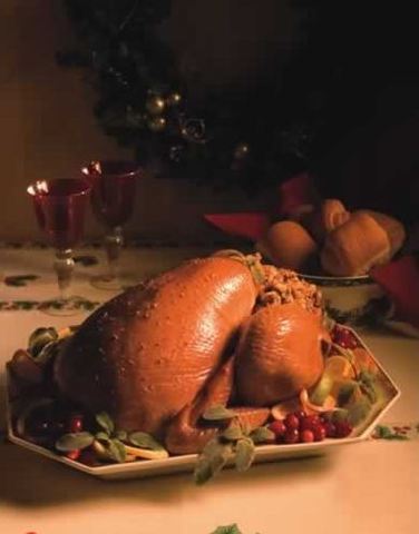 Thanksgiving Recipes: Roast Turkey