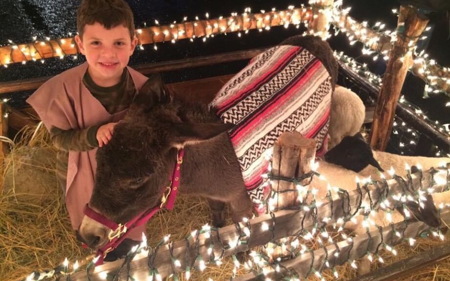 Inside the float, a close-up of a shepherd boy with a donkey.