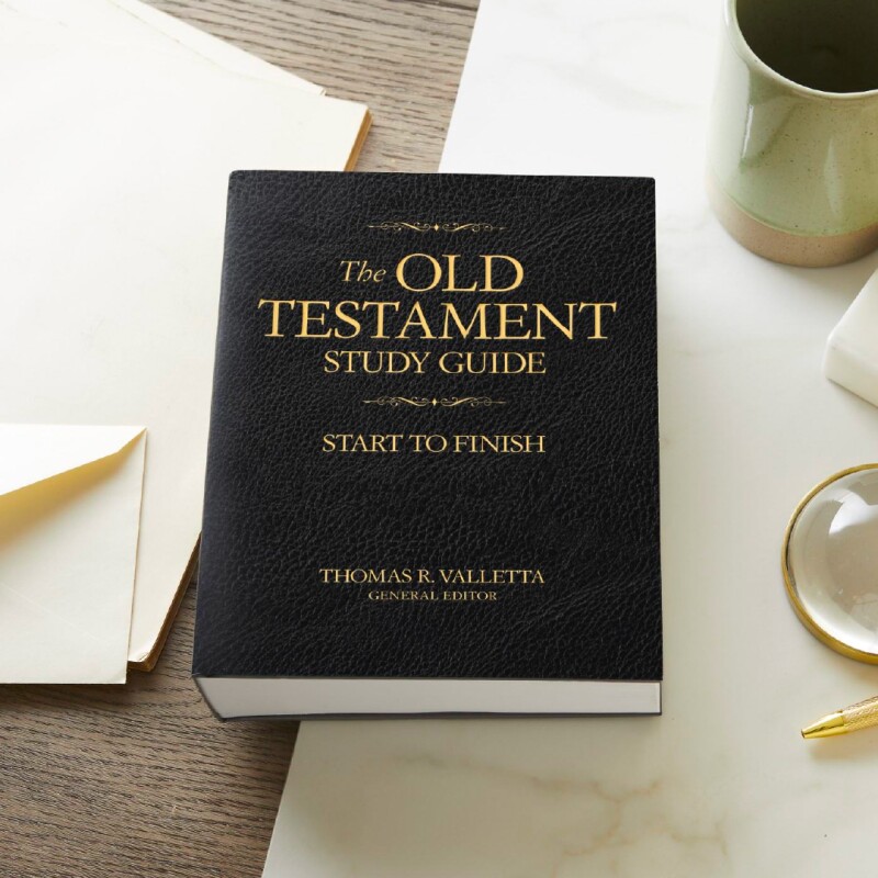 SOM-OTArtboard 2.jpg