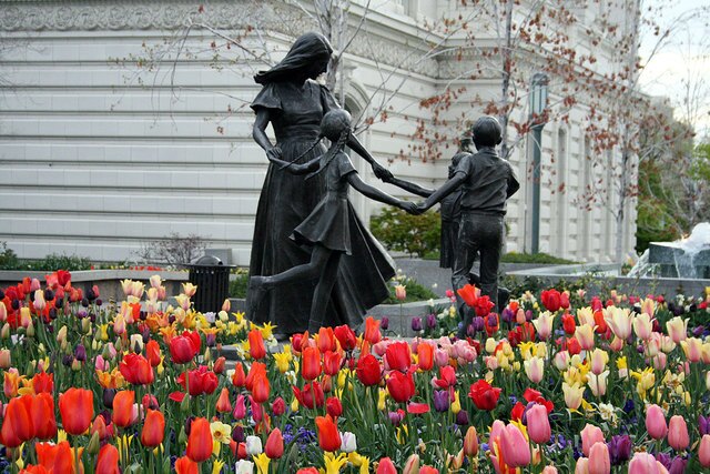 50 Breathtaking Photos of Temple Gardens