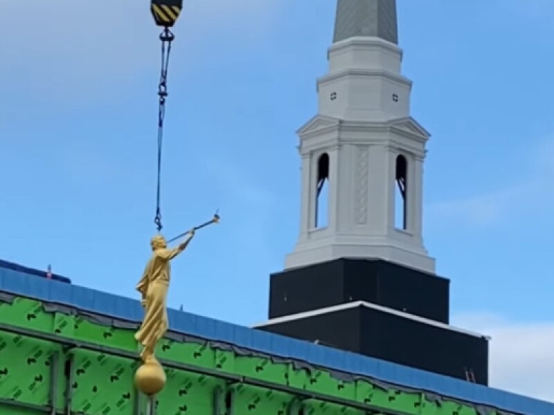 60793.jpg