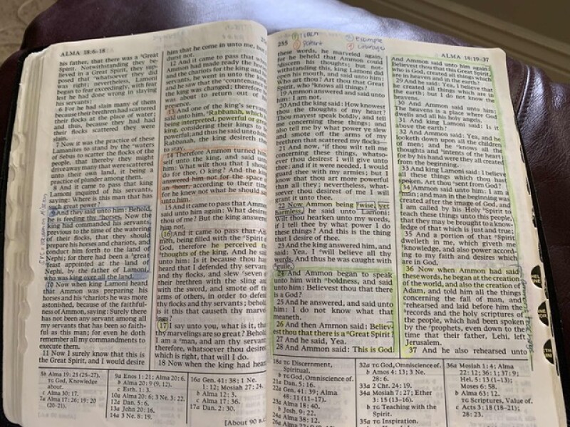 Tammy's highlighted scriptures