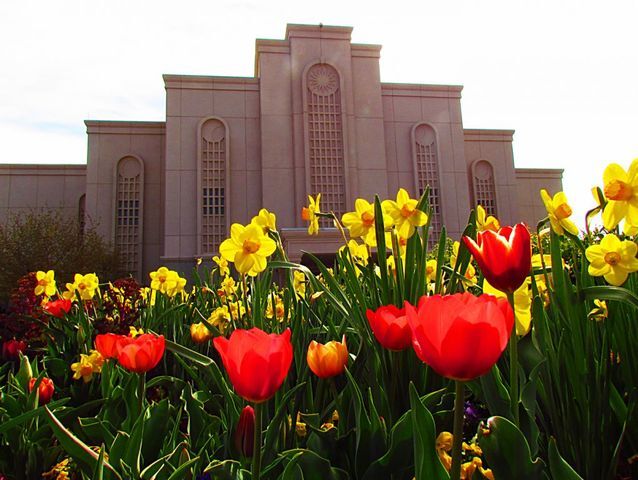 50 Breathtaking Photos of Temple Gardens