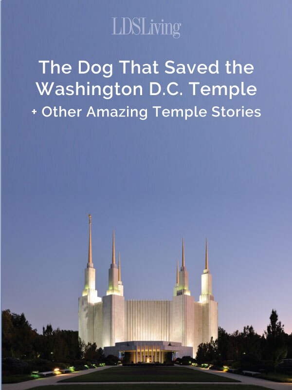 The Dog That Saved the Washington D.C. Temple + Other Amazing Temple Stories