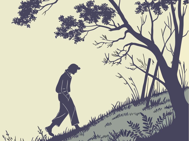 Vector art of a man walking up a grassy hill under a tree, a silhouette against the sky, enjoying a peaceful outdoor adventure