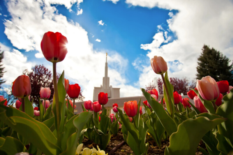 A view of the Denver Colorado Temple from the temple grounds.