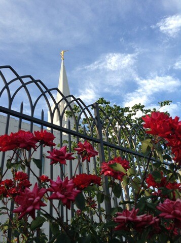 50 Breathtaking Photos of Temple Gardens