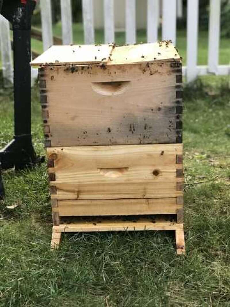 Bee box.