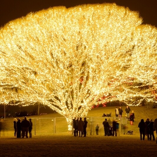 "Tree of Life" Was Made & Where You Can It in Person - LDS Living