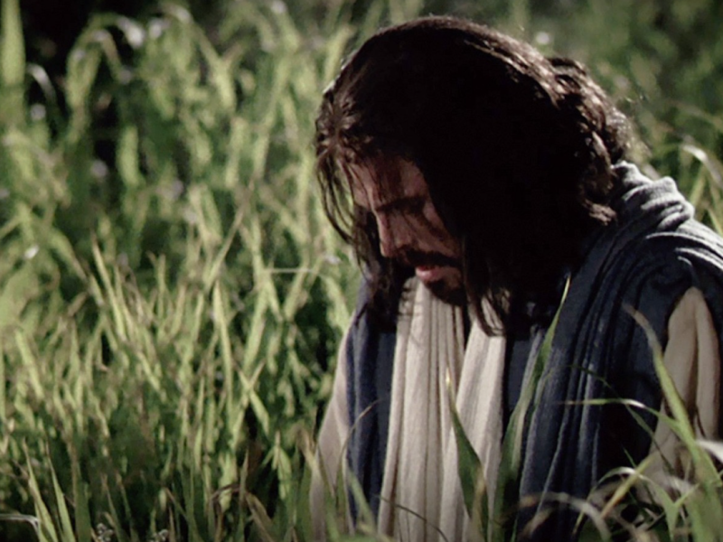 Screenshot (169).png