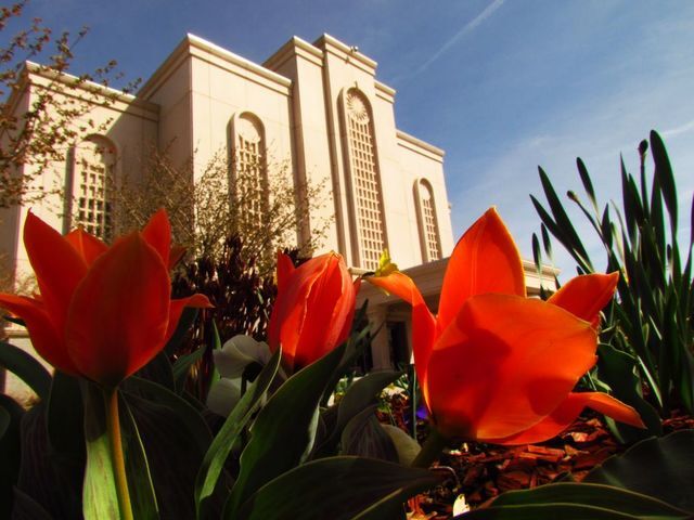 50 Breathtaking Photos of Temple Gardens