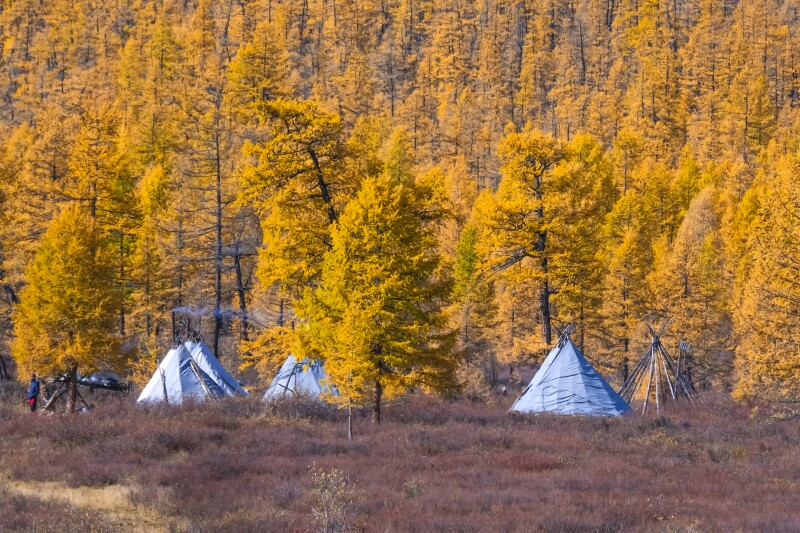 The,Traditional,Tent,Of,The,Tsaatan,People.,They,Are,One