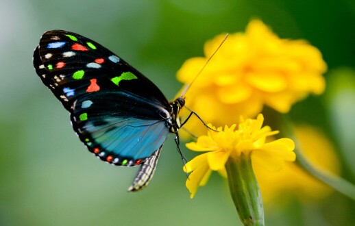 How We Can Give and Receive Grace