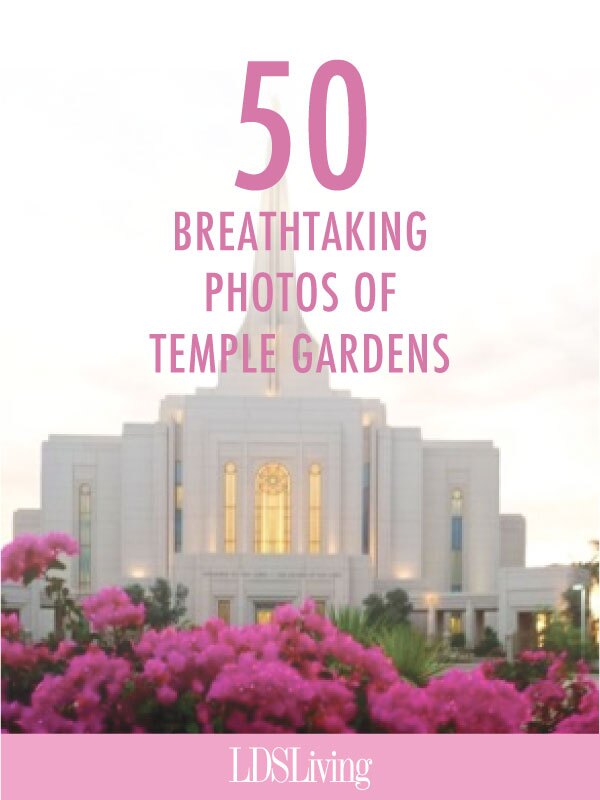 If you need a brief escape, take some time to view these stunning pictures of temple gardens that will help you feel a bit of the serenity of the Lord's holy house and the wonderment of God's beautiful creations.