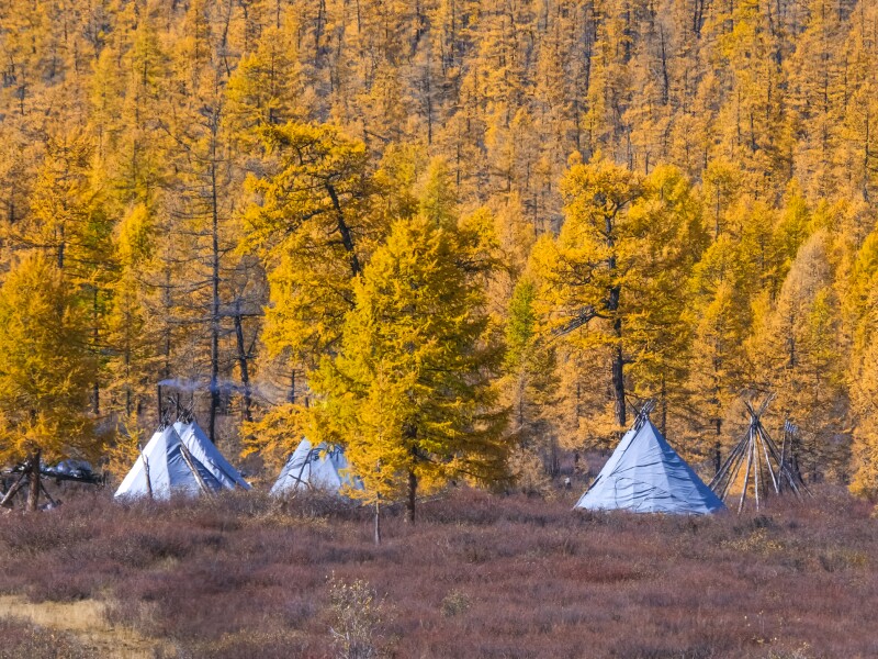The,Traditional,Tent,Of,The,Tsaatan,People.,They,Are,One