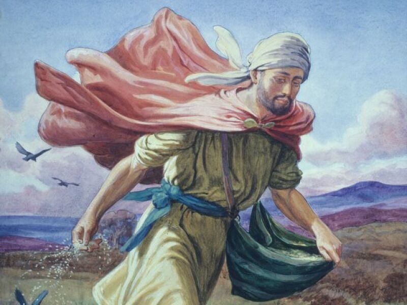 man_sowing_field_soper.jpg