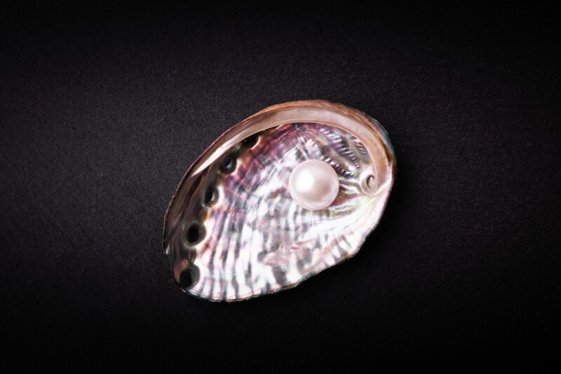 Abalone Shell and Pearl