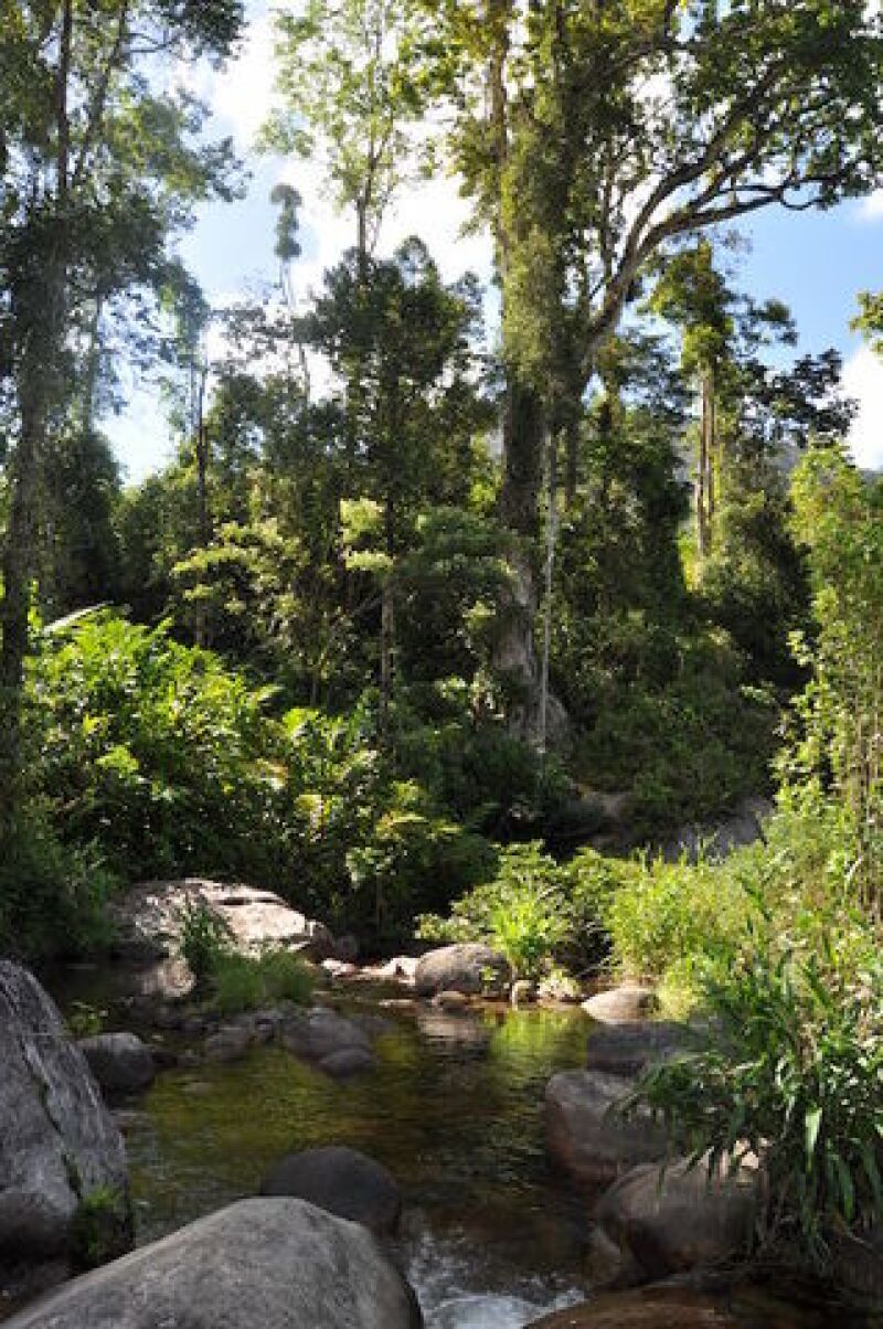 During her hike, Elizabeth developed a blister that eventually became infected after several river crossings (image courtesy Elizabeth Hamilton). 