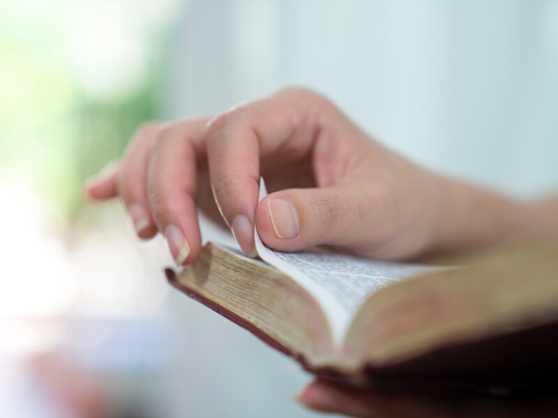 Bible,women,Reading,The,Holy,Bible.