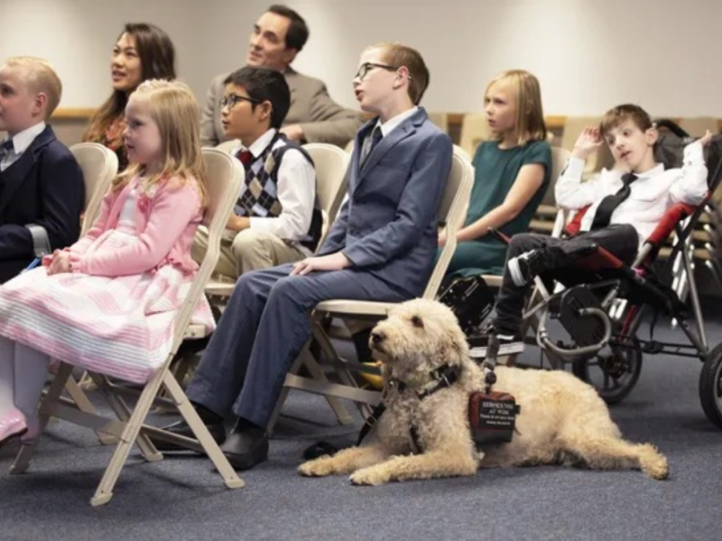 Primary children sing while a service animal sits on the floor.