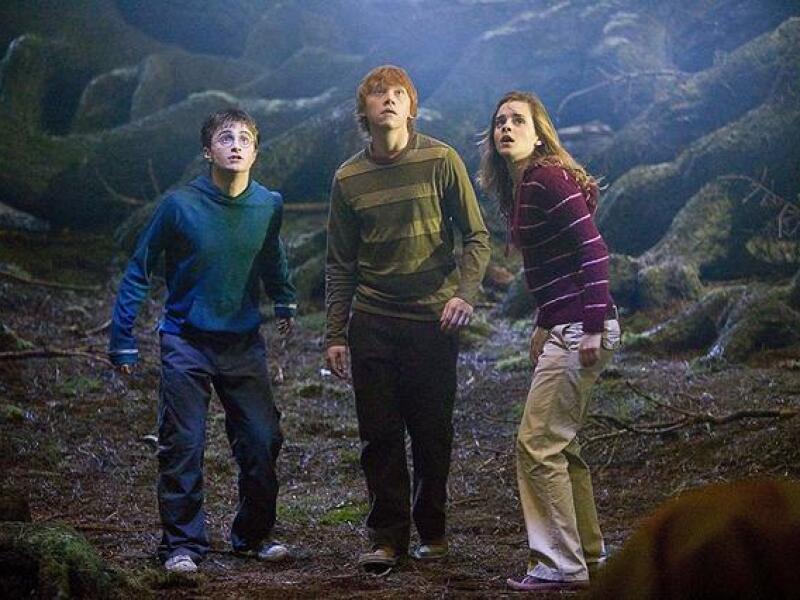 52194.jpg