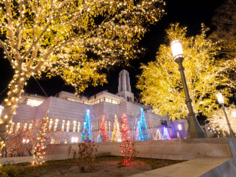 AndersonBrendon_ChristmasLights_TempleSquare_0029.jpg