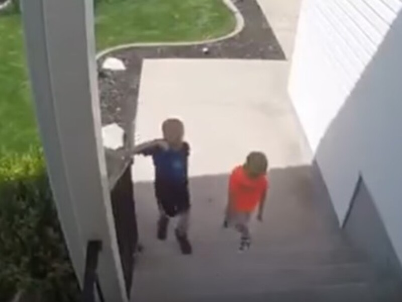 36790.jpg