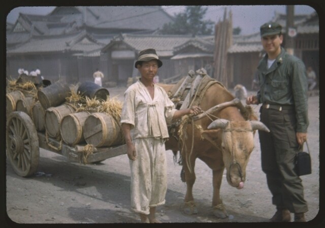 Lieutenant Russell M. Nelson poses with a man and his oxcart in Korea.