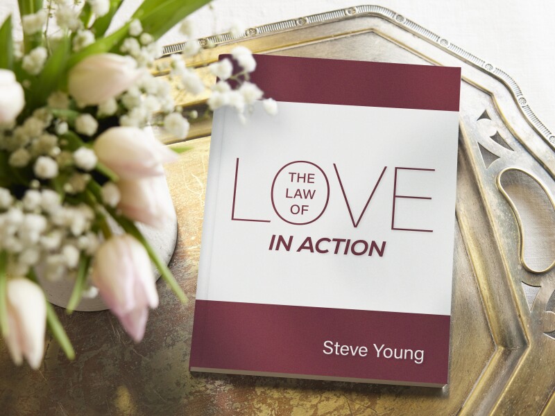 DB_MD2024_PG3_TheLawOFLoveInAction_Environment.jpg