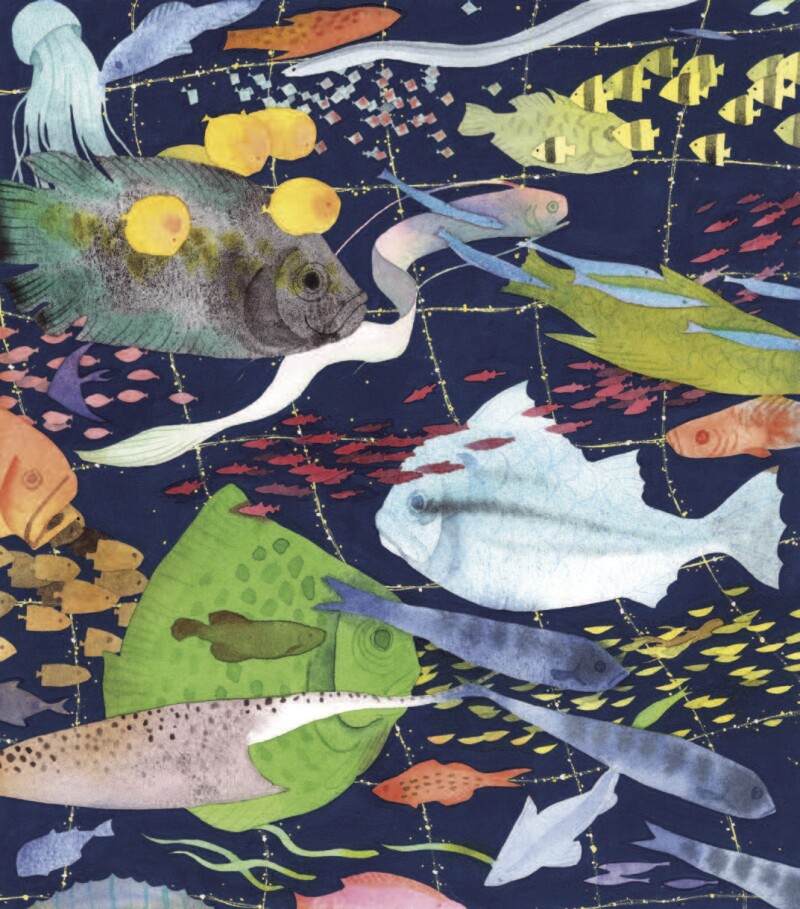 Colorful fish swimming in the sea.