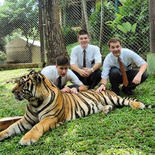 9 Times Missionaries Got Up Close and Personal with Wildlife (Photos)