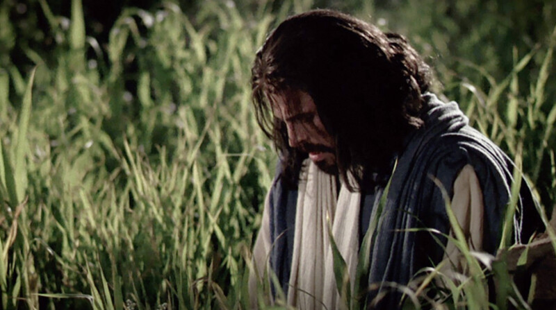 Screenshot (169).png