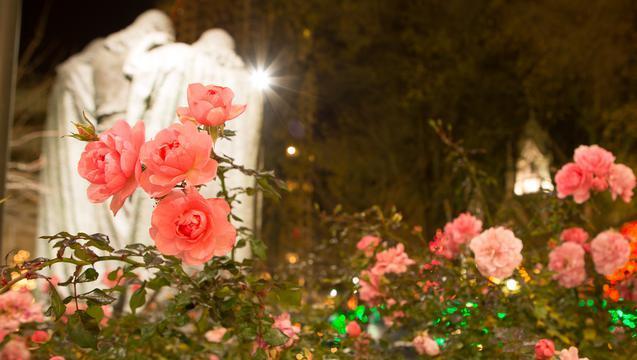 20 Things You Didn't Know about Temple Square at Christmastime